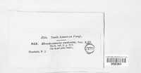 Image Associated With the Occurence